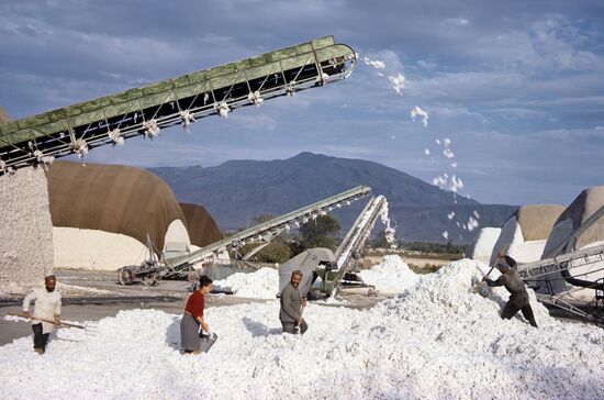 Cotton procurement center