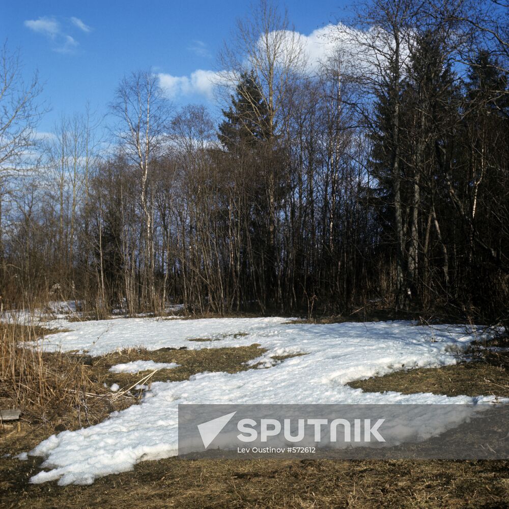 Spring in Vologda Region