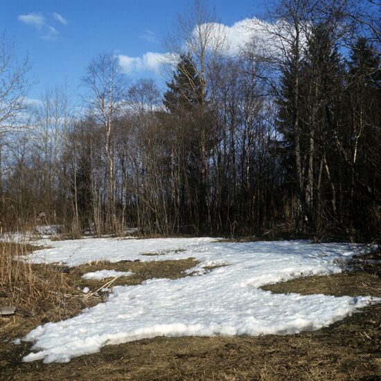 Spring in Vologda Region