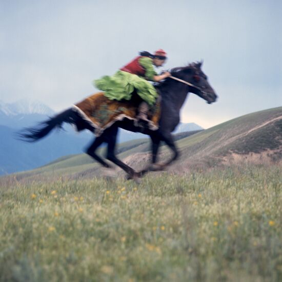Equestrian
