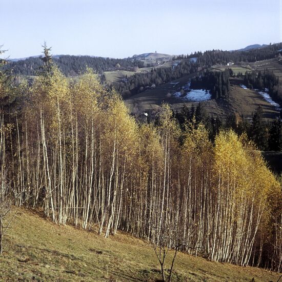 Carpathians
