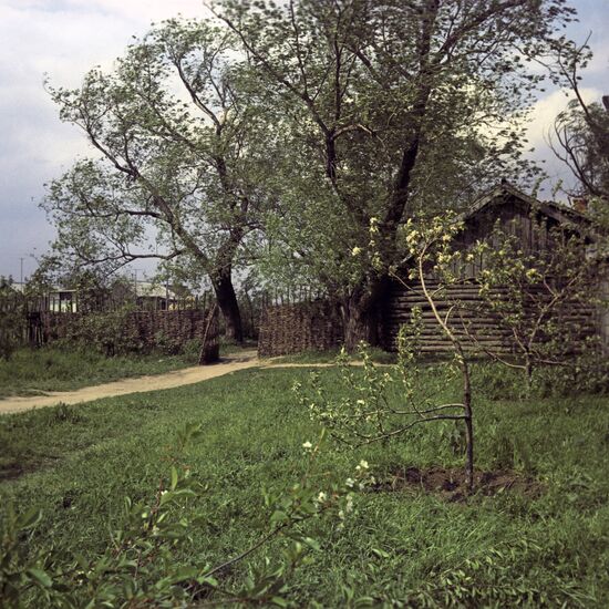 Yesenins' house