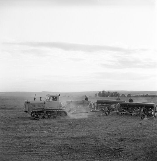 Tractors in the field