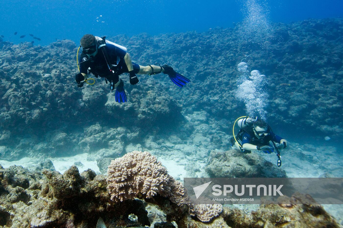 Diving from sailing twin-hulled vessel