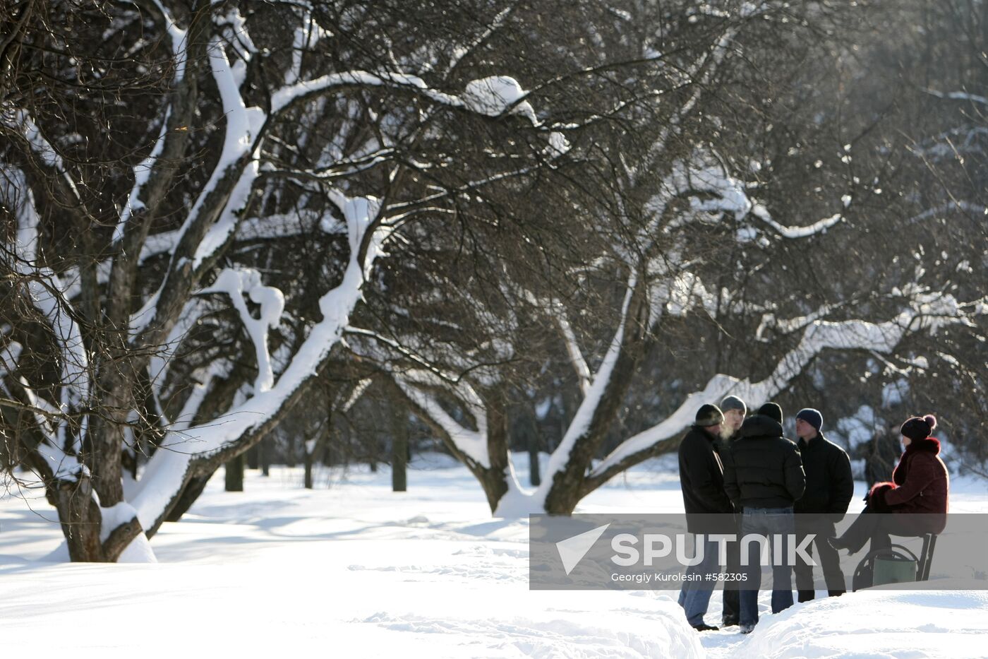 Winter day in Moscow