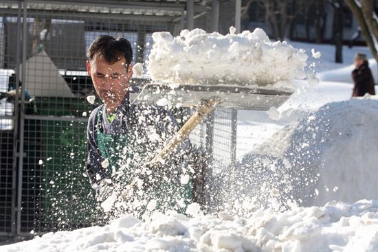 Winter day in Moscow
