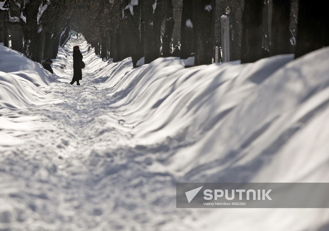 Winter day in Moscow