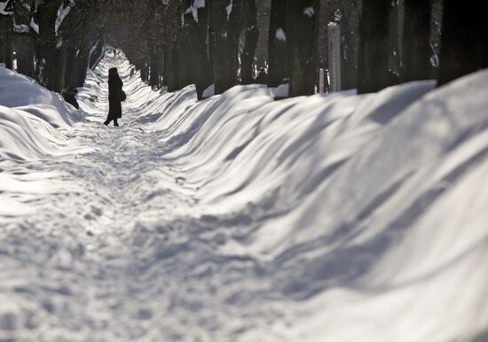 Winter day in Moscow