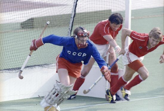 Lawn hockey