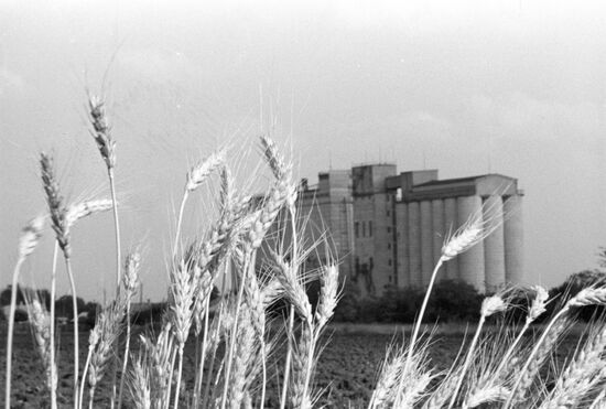 Grain elevator