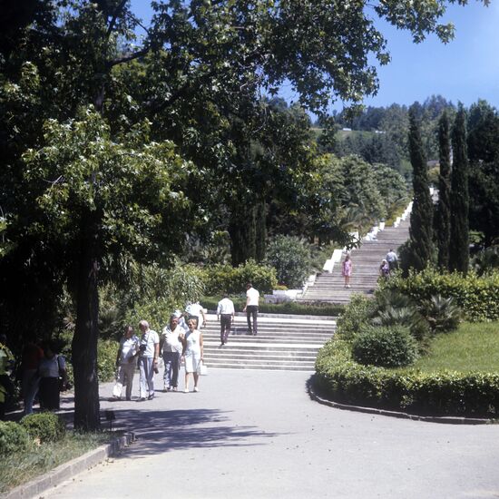 Sochi Park Arboretum