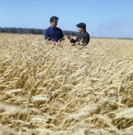 Plant-breeders Viktor Suslyakov and Grigory Vysokos