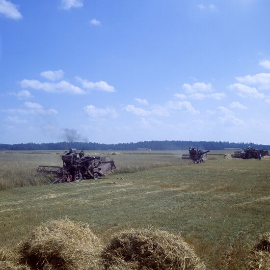 Leonpolis state farm in Lithuania