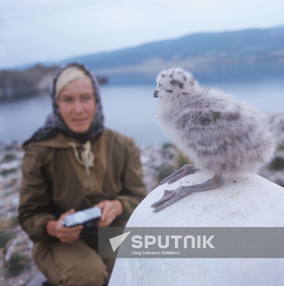 Birdwatchers on Baikal