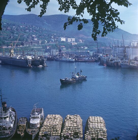 A fish port