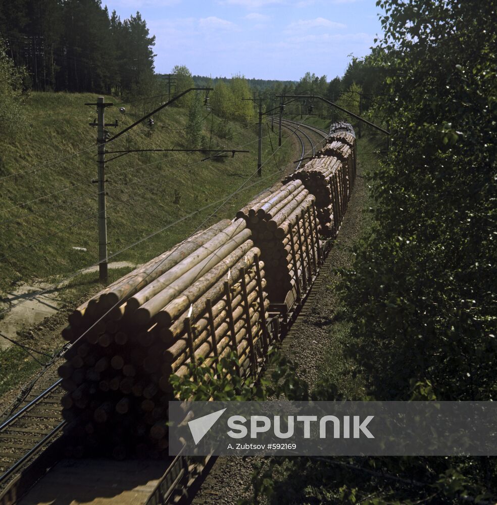 Transporting timber