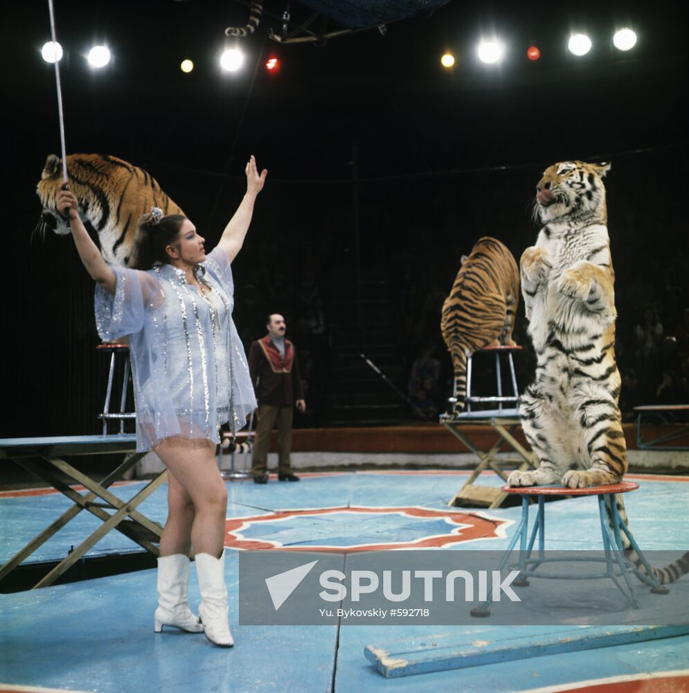 Margarita Nazarova performs in the circus