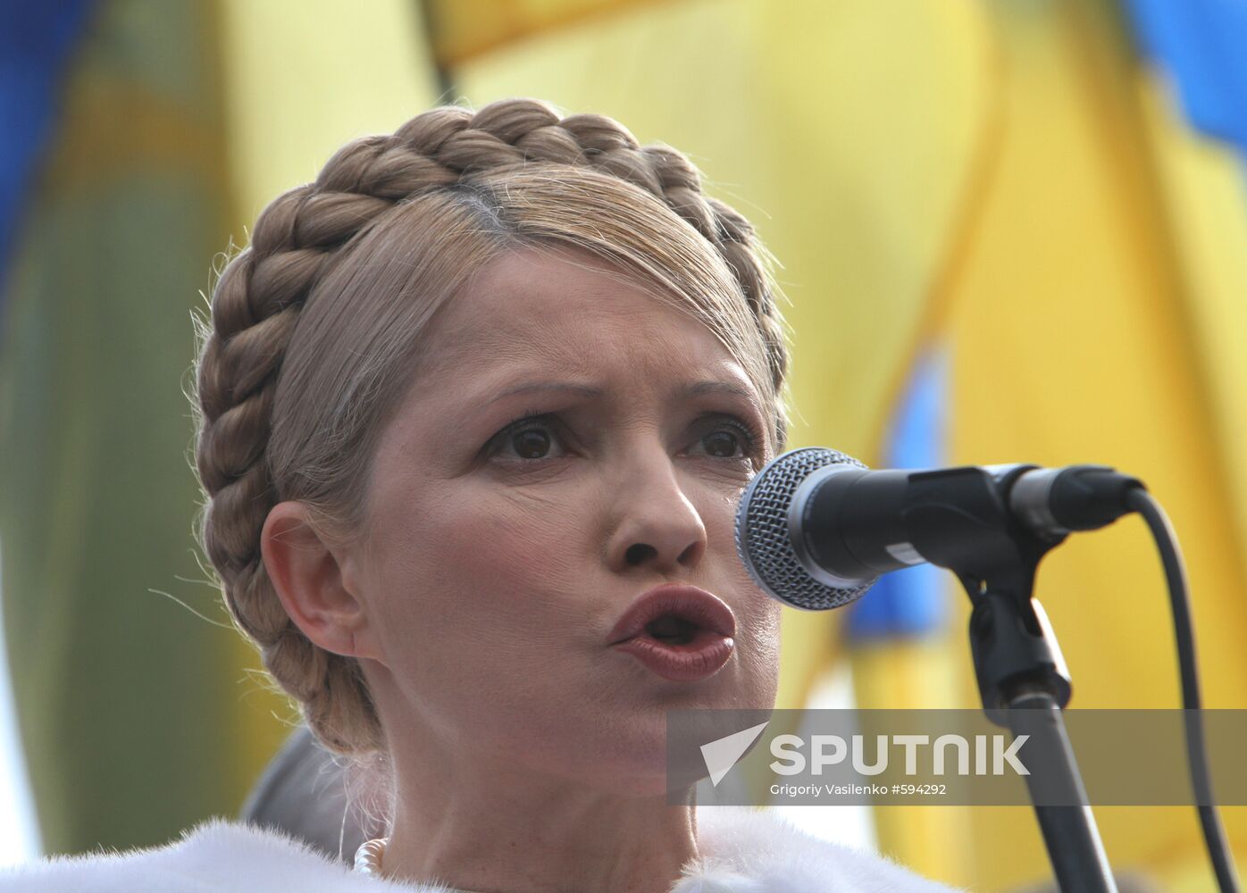 People's Democratic forces rally in Kiev