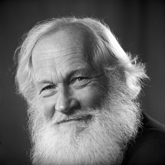 Scientist Leonid Bratsev