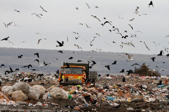 Stavropol's city dump