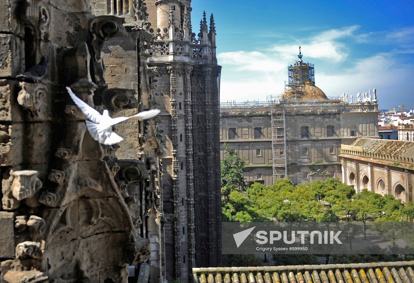 Seville Cathedral