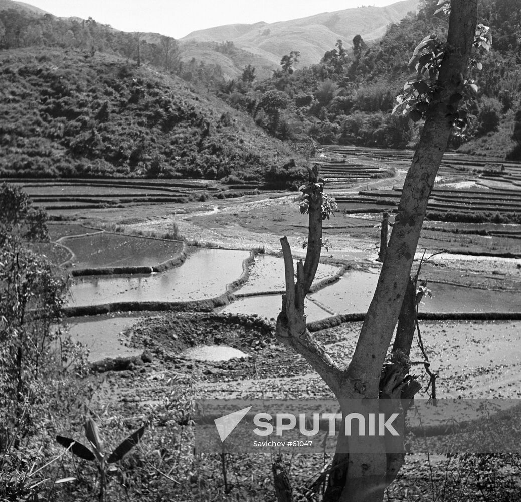 SHELL-HOLE BOMB VIETNAM