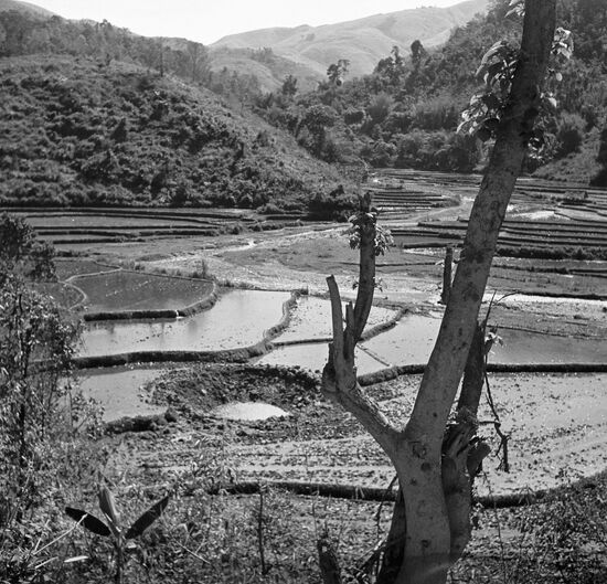 SHELL-HOLE BOMB VIETNAM