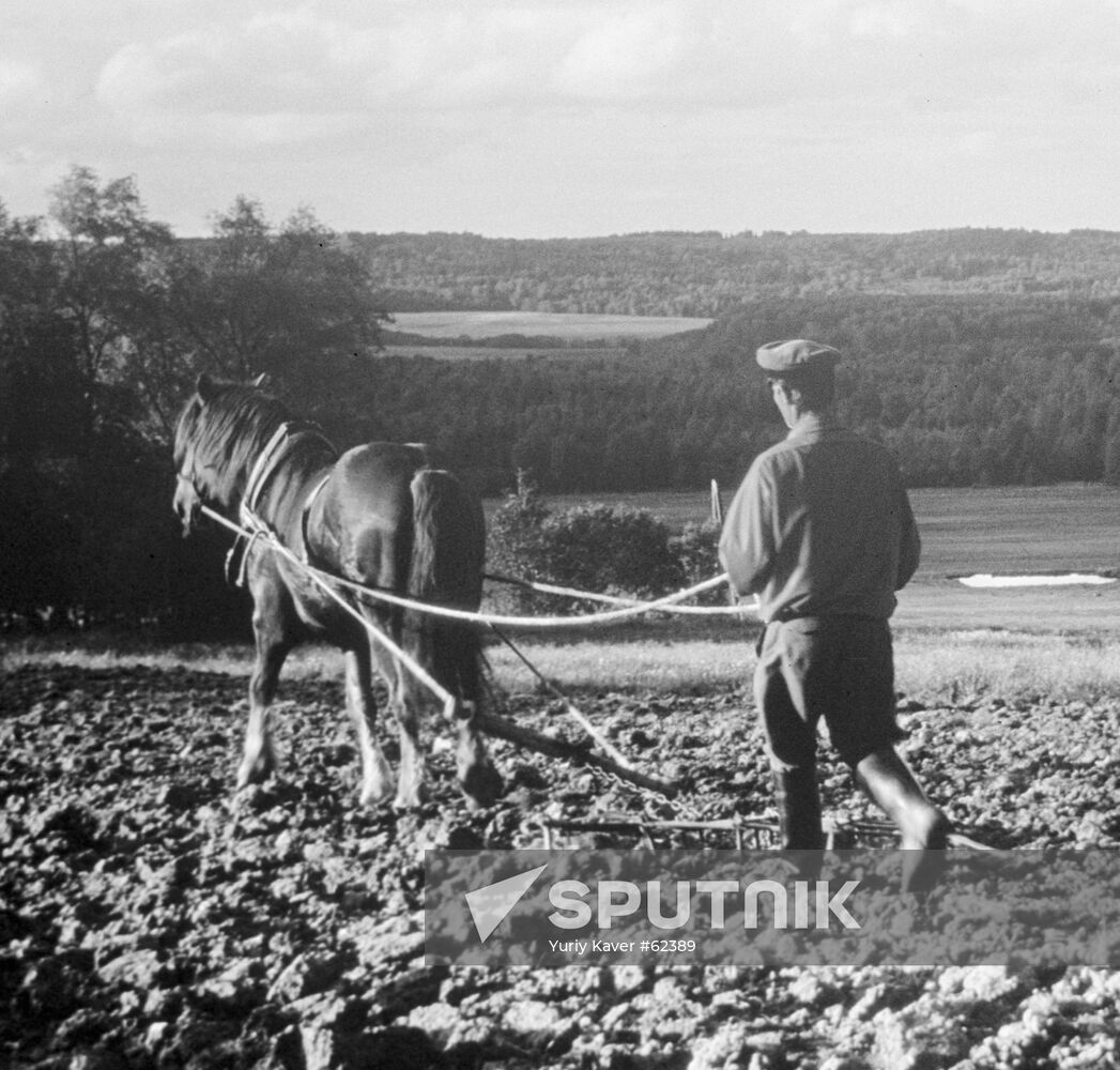 FIELD HORSE MAN