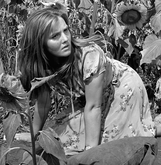 FILM ITALIANI BRAVA GENTE PROKHORENKO