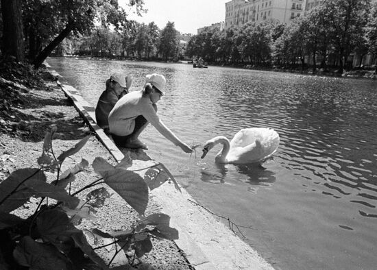 SWAN POND CHILDREN
