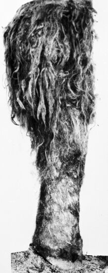 MAMMOTH'S LEG