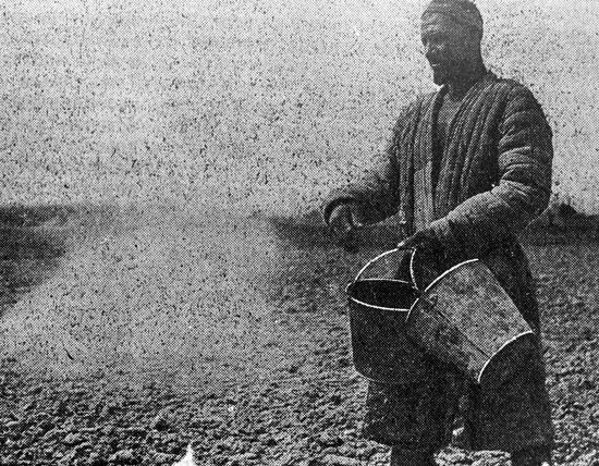 FARMER FERTILIZER FIELD