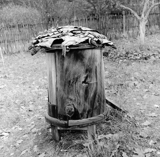 BEEHIVE MUSEUM