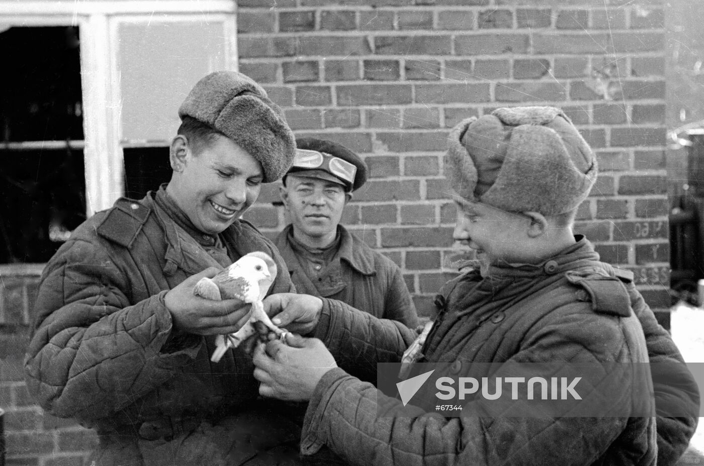 SOLDIERS BIRDS GREAT PATRIOTIC WAR