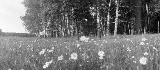 USMAN PINE FOREST RESERVE 