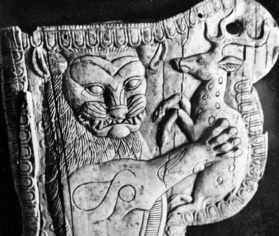 FRAGMENT SHEATH