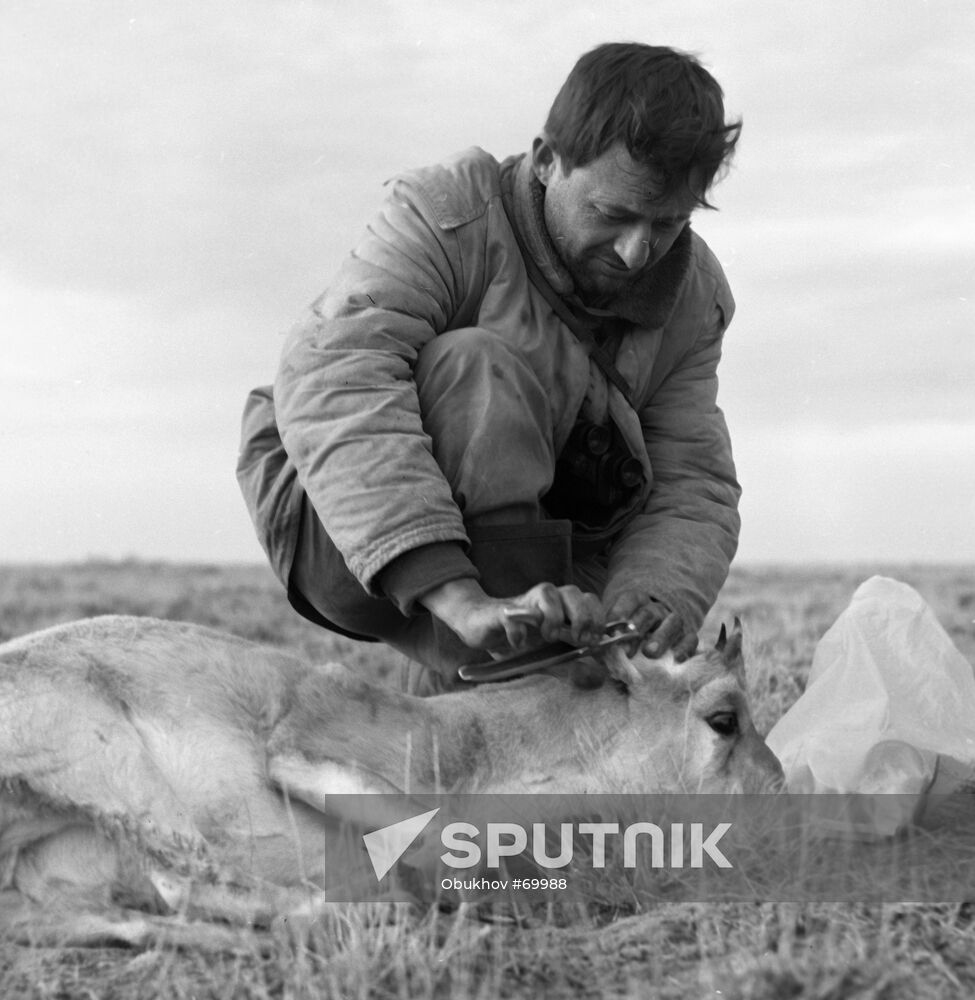 SAIGA MARK