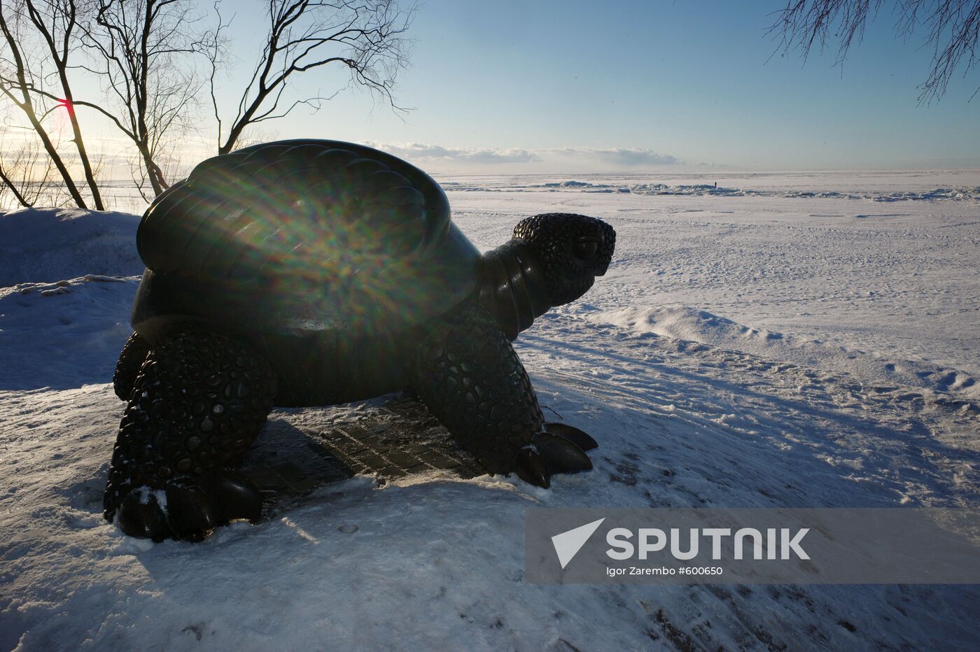 Turtle sculpture