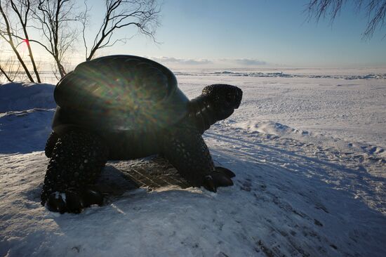 Turtle sculpture