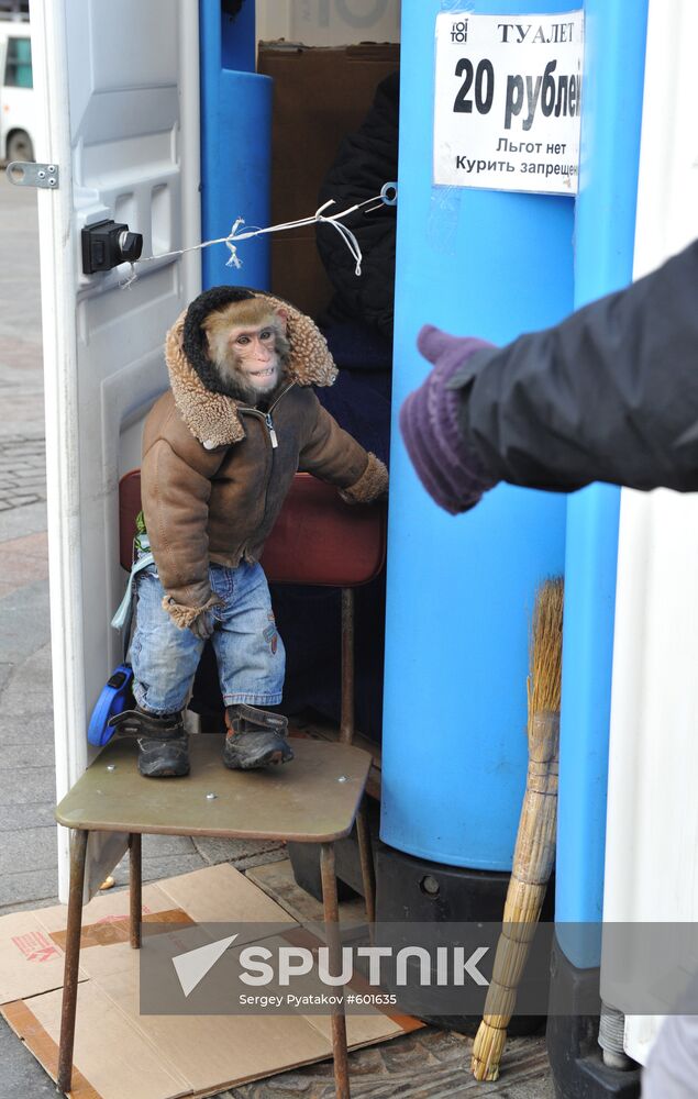 Pay toilet in Moscow.