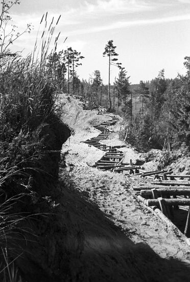 Defense line