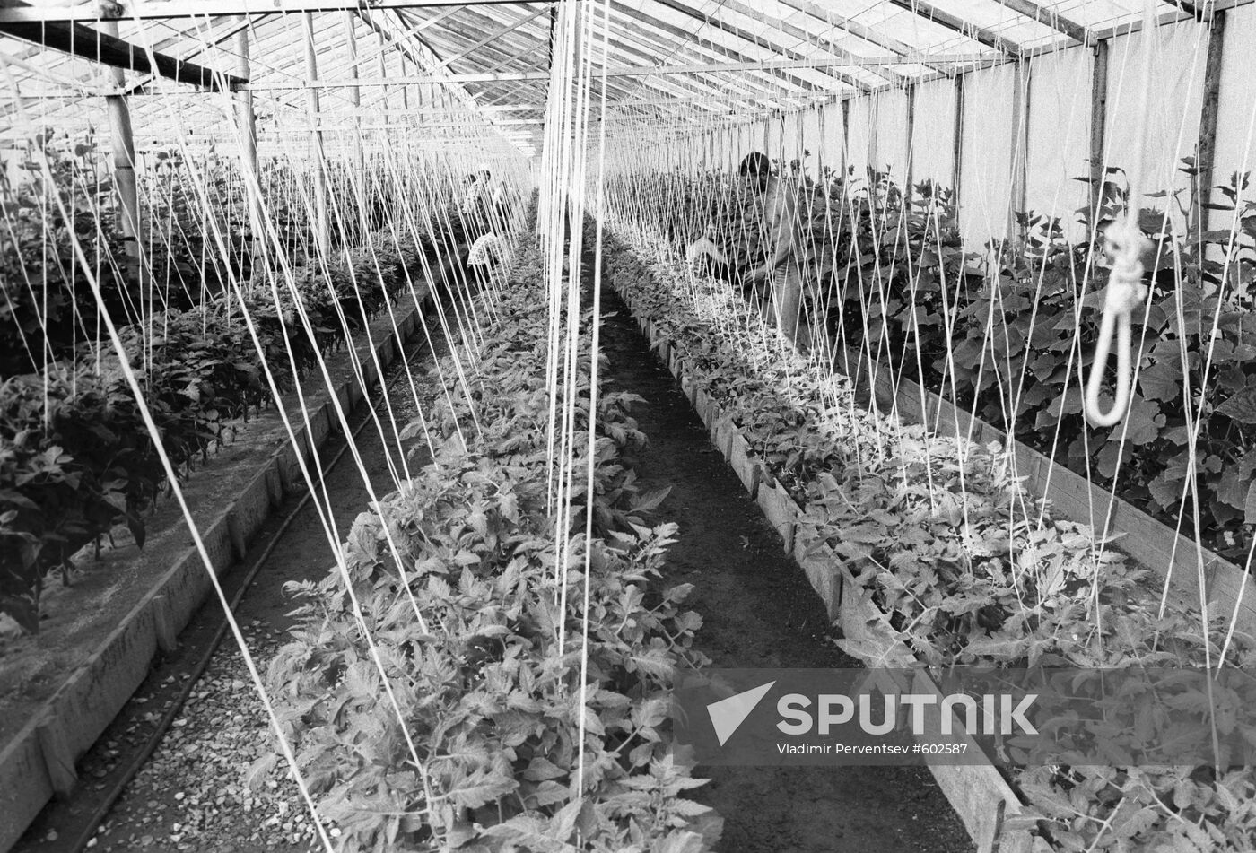 Zaoksky Ecclesiastical Academy