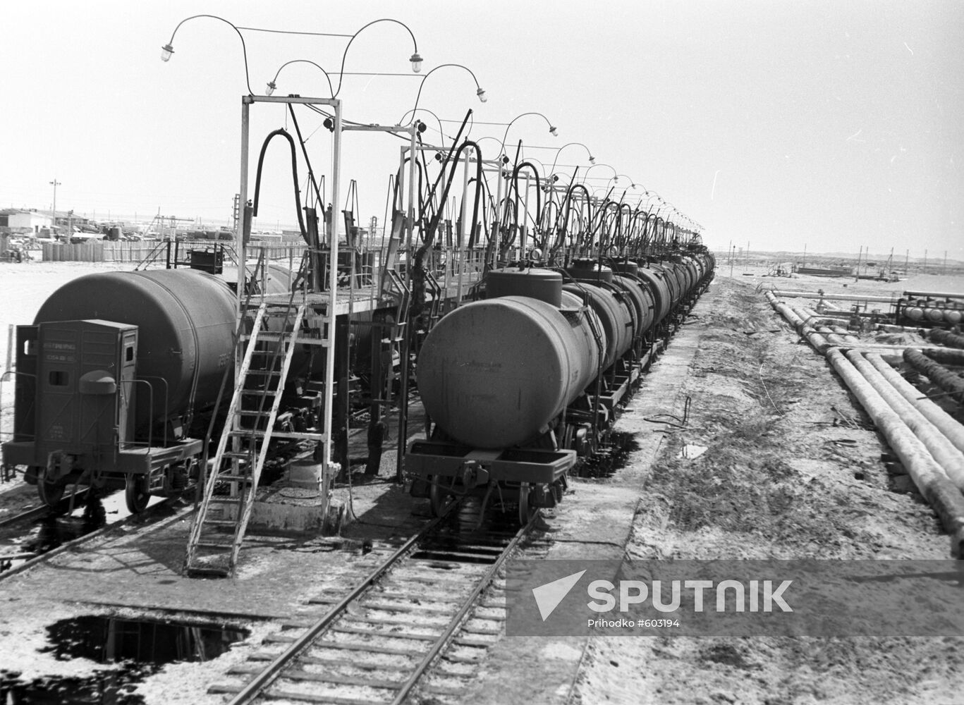 Tanks with oil