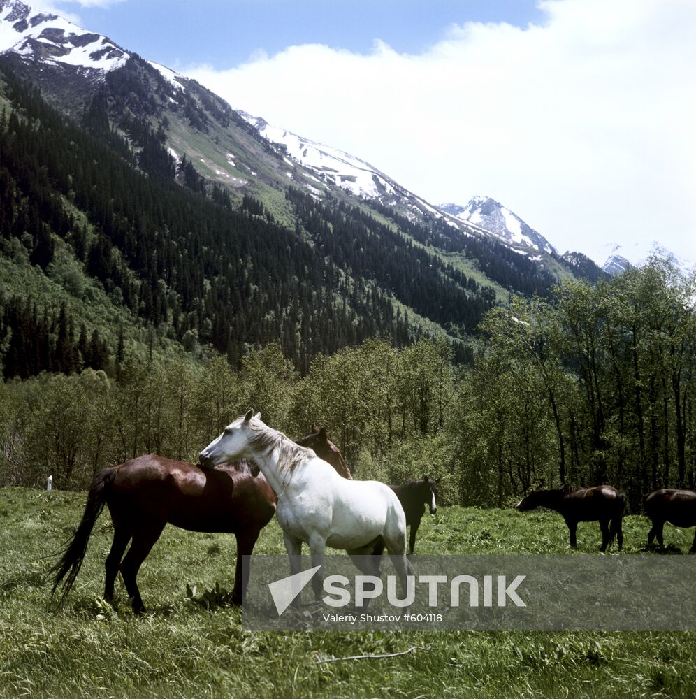 Заповедники фотографии. Заповедники. Заповедники России. Природа заповедника. Гос природные заповедники.