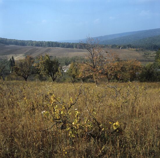 Pogranichnik (Border Guard) collective farm