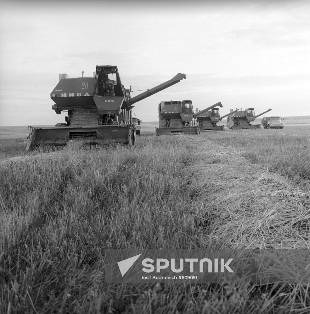 Niva Combine Harvesters