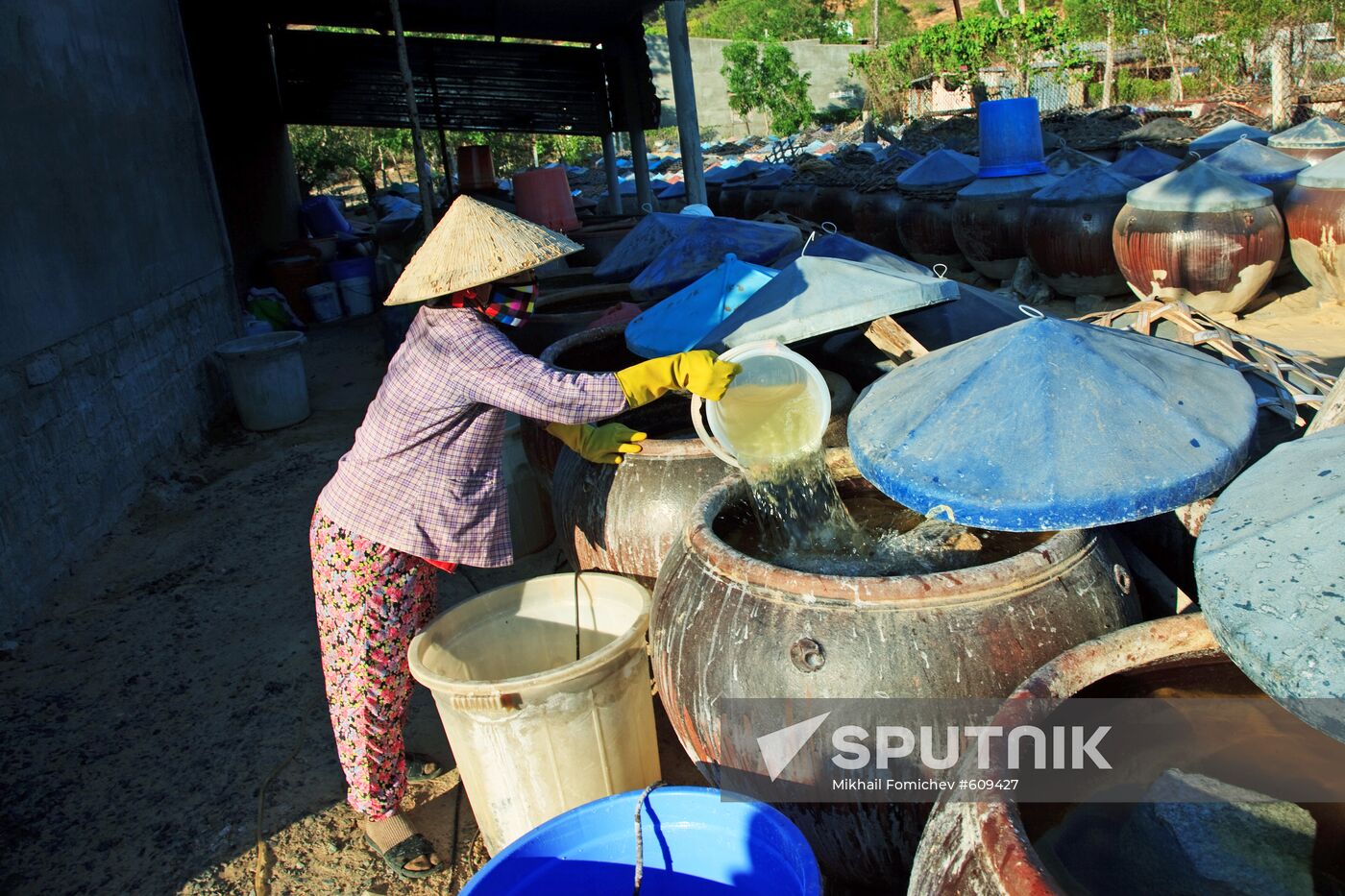 Fermenting traditional Vietnamese rotten fish sauce