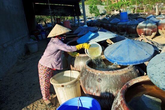 Fermenting traditional Vietnamese rotten fish sauce