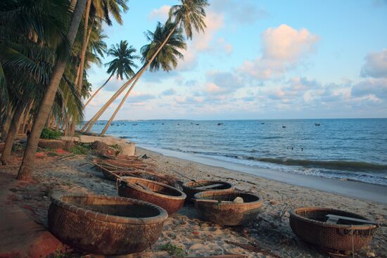 Fishing boats