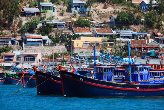Mooring of fishing boats near Hon Tam island